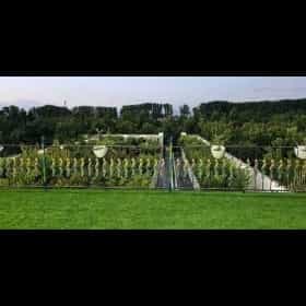 1716615652219.webp