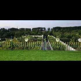 1716615652219.webp